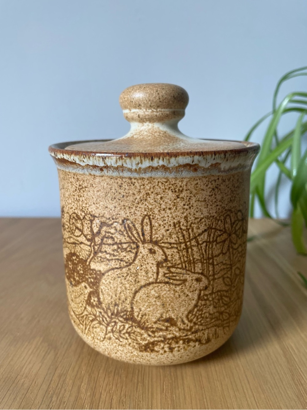 Vintage Dunoon Pottery Stoneware Rabbit Lidded Pot Canister Jar 1970s